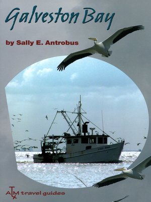 cover image of Galveston Bay